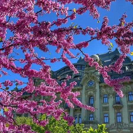 Domik Na Fontane Hotel Odesa Exterior foto