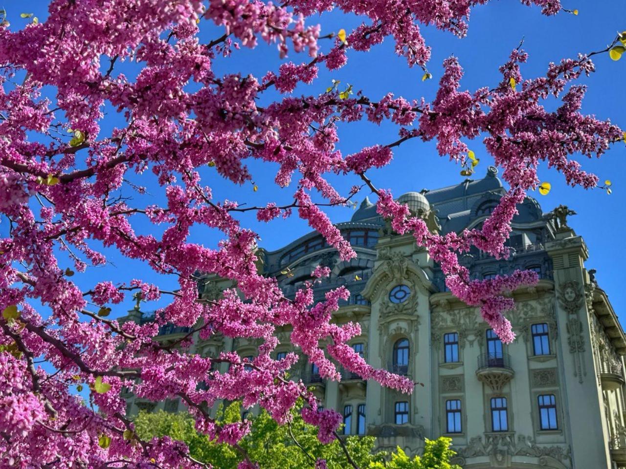 Domik Na Fontane Hotel Odesa Exterior foto